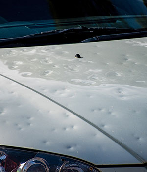 Hail Damage?  We can help with your DEDUCTIBLE!